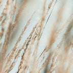 Wandering Through an Autumn Day x nature environmental photograph mint green blue Coffee Mug Gallery Image 2