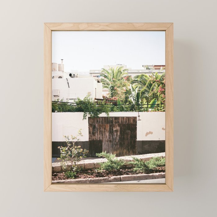 Botanical backyard Ibiza Spain | Lush greenery | Wanderlust Travel photography Mini Art Print Gallery Image 1