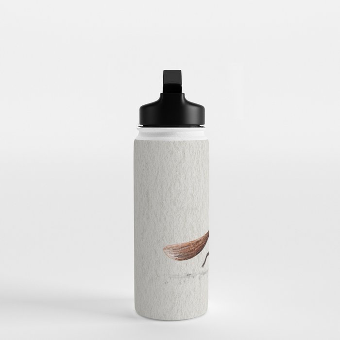Fox & Crow - Piggyback Water Bottle Gallery Image 3