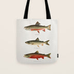 Illustrated North American Freshwater Trout Game Fish Identification Chart Tote Bag Gallery Image 1