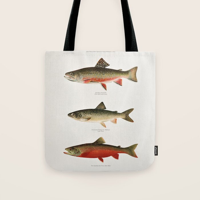 Illustrated North American Freshwater Trout Game Fish Identification Chart Tote Bag Gallery Image 1