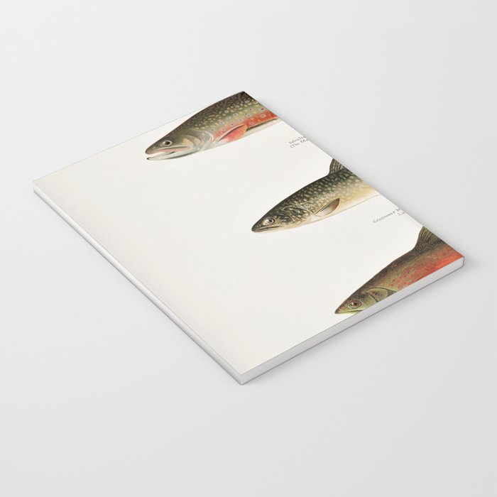 Illustrated North American Freshwater Trout Game Fish Identification Chart Notebook Gallery Image 3