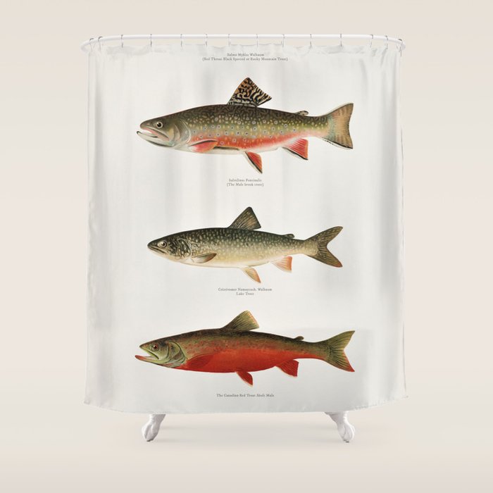 Illustrated North American Freshwater Trout Game Fish Identification Chart Shower Curtain Gallery Image 1