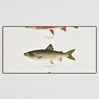 Illustrated North American Freshwater Trout Game Fish Identification Chart Desk Mat Gallery Image 3
