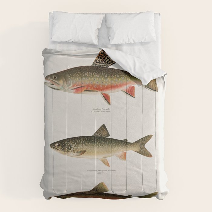 Illustrated North American Freshwater Trout Game Fish Identification Chart Comforter Gallery Image 1