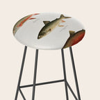 Illustrated North American Freshwater Trout Game Fish Identification Chart Stool Gallery Image 2