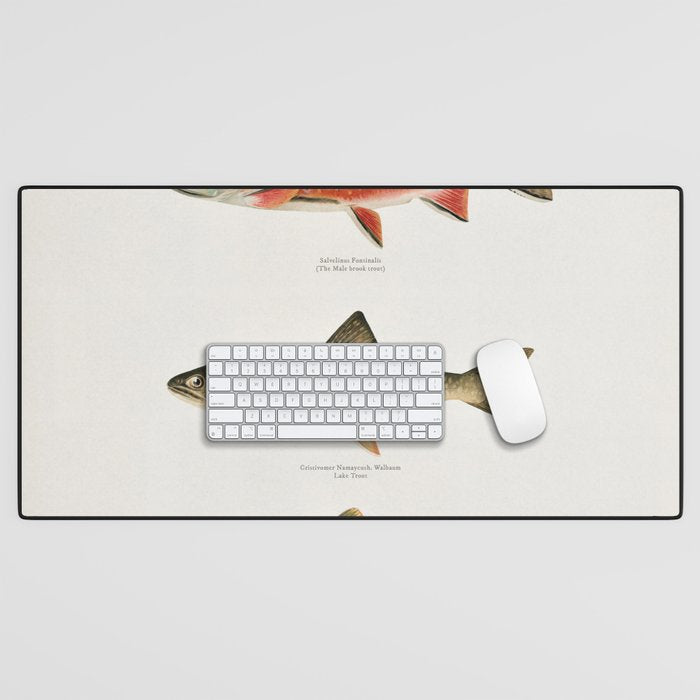 Illustrated North American Freshwater Trout Game Fish Identification Chart Desk Mat Gallery Image 1