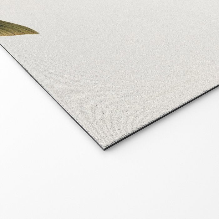 Illustrated North American Freshwater Trout Game Fish Identification Chart Welcome Mat Gallery Image 2