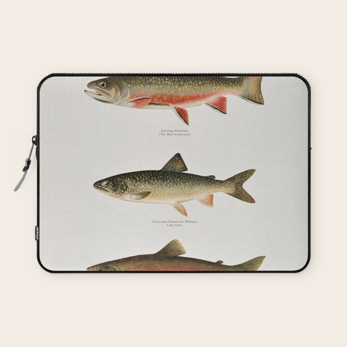 Illustrated North American Freshwater Trout Game Fish Identification Chart Laptop Sleeve Gallery Image 1