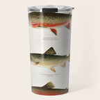 Illustrated North American Freshwater Trout Game Fish Identification Chart Travel Mug Gallery Image 1