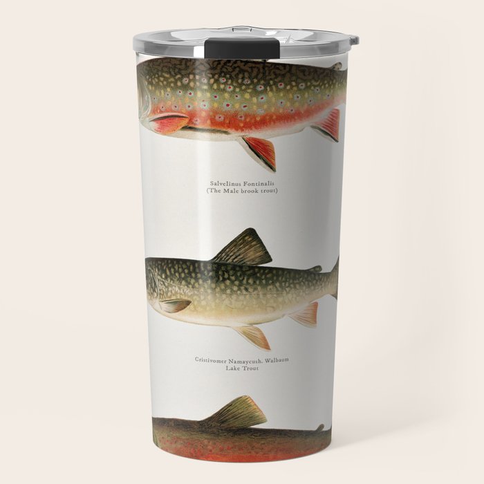 Illustrated North American Freshwater Trout Game Fish Identification Chart Travel Mug Gallery Image 1