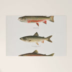 Illustrated North American Freshwater Trout Game Fish Identification Chart Welcome Mat Gallery Image 1