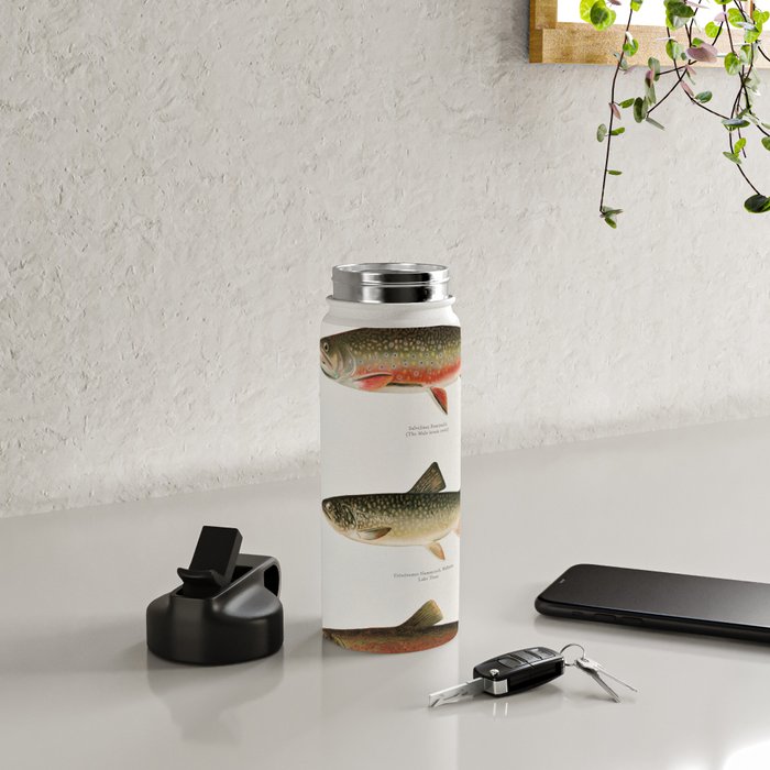 Illustrated North American Freshwater Trout Game Fish Identification Chart Water Bottle Gallery Image 4