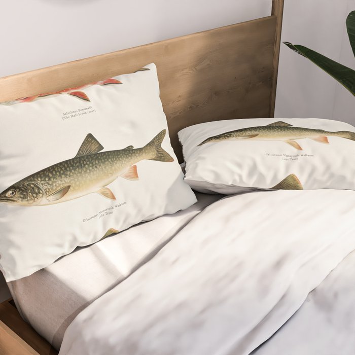 Illustrated North American Freshwater Trout Game Fish Identification Chart Pillow Sham Gallery Image 2