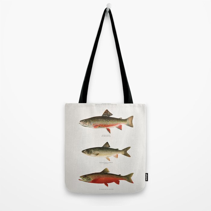 Illustrated North American Freshwater Trout Game Fish Identification Chart Tote Bag Gallery Image 2