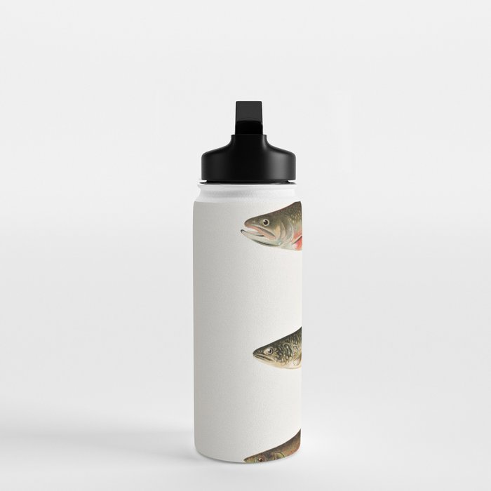 Illustrated North American Freshwater Trout Game Fish Identification Chart Water Bottle Gallery Image 3