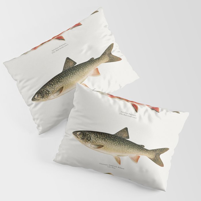 Illustrated North American Freshwater Trout Game Fish Identification Chart Pillow Sham Gallery Image 3