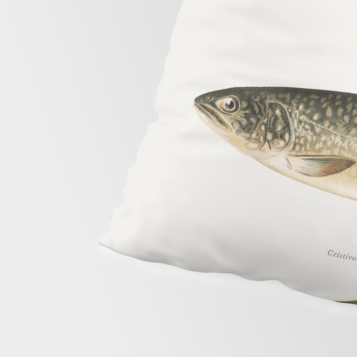 Illustrated North American Freshwater Trout Game Fish Identification Chart Pillow Sham Gallery Image 4