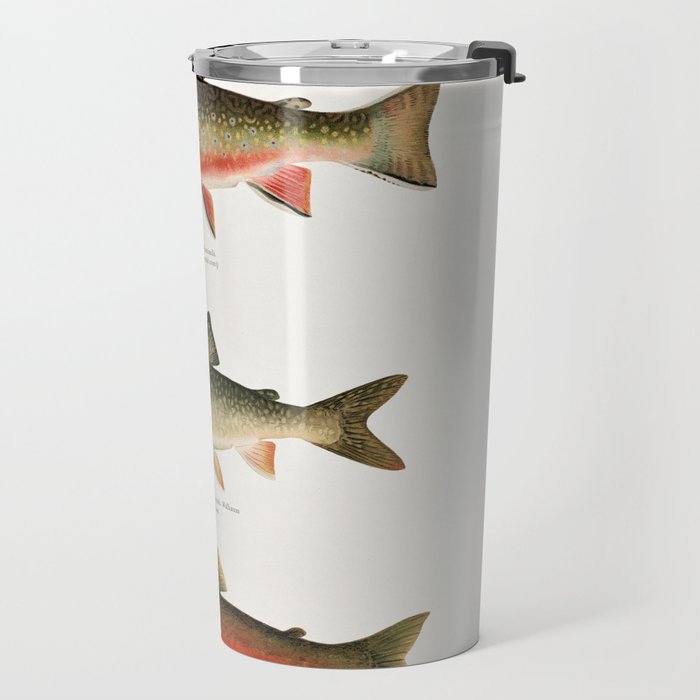 Illustrated North American Freshwater Trout Game Fish Identification Chart Travel Mug Gallery Image 2