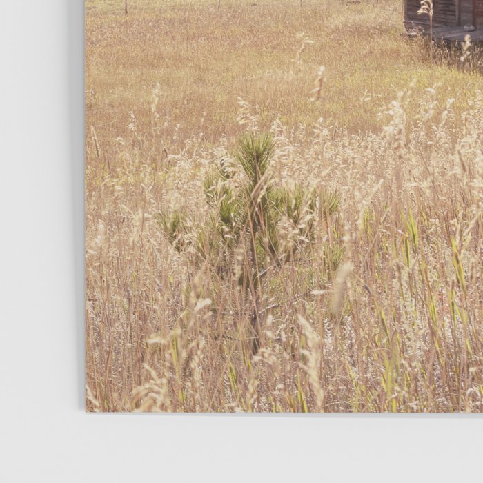Old Montana Schoolhouse x Montana Landscape Photography Poster Gallery Image 3