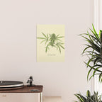 Vintage botanical print - Cannabis Poster Gallery Image 2