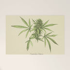 Vintage botanical print - Cannabis Welcome Mat Gallery Image 1