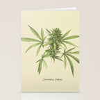 Vintage botanical print - Cannabis Stationery Card Gallery Image 2