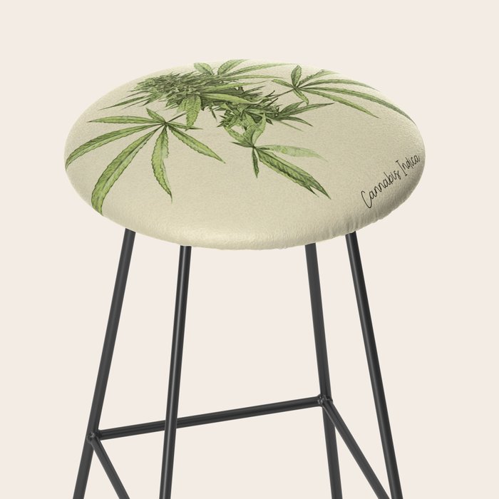 Vintage botanical print - Cannabis Stool Gallery Image 2