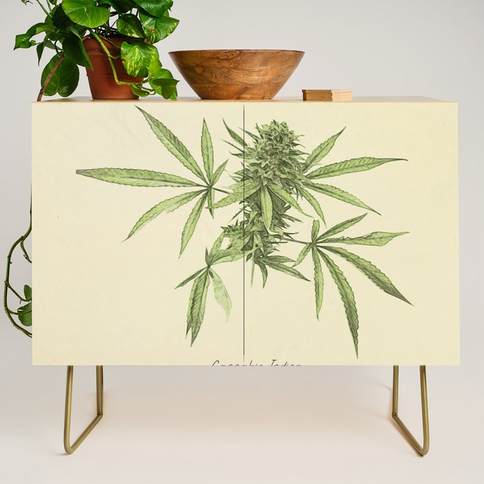 Vintage botanical print - Cannabis Credenza Gallery Image 1