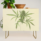 Vintage botanical print - Cannabis Credenza Gallery Image 1