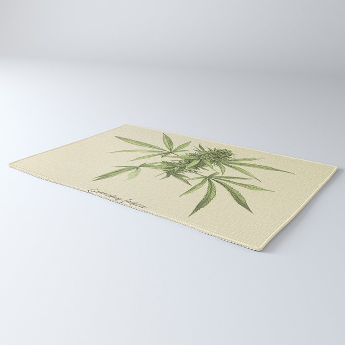 Vintage botanical print - Cannabis Rug Gallery Image 3