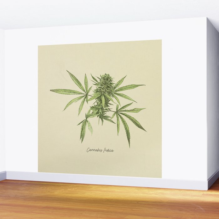 Vintage botanical print - Cannabis Wall Mural Gallery Image 2