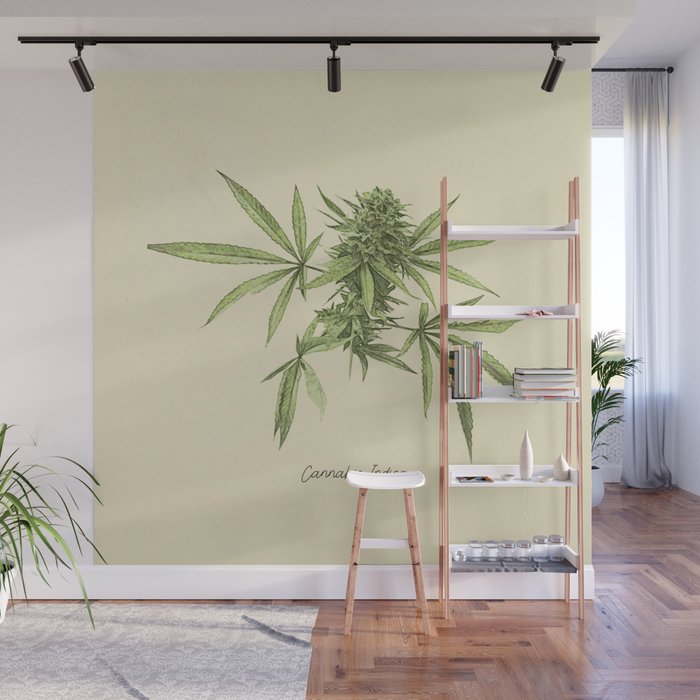 Vintage botanical print - Cannabis Wall Mural Gallery Image 1