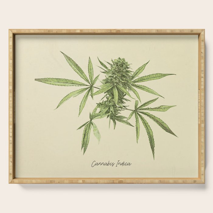 Vintage botanical print - Cannabis Serving Tray Gallery Image 1