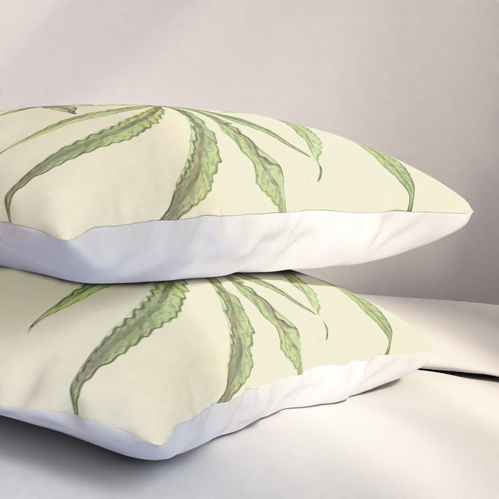 Vintage botanical print - Cannabis Pillow Sham Gallery Image 3