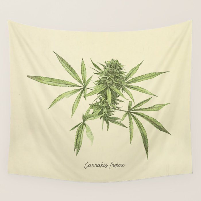 Vintage botanical print - Cannabis Wall Tapestry Gallery Image 4