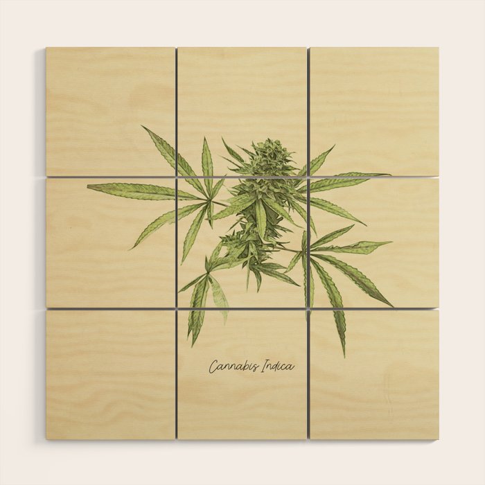 Vintage botanical print - Cannabis Wood Wall Art Gallery Image 1