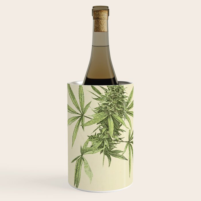 Vintage botanical print - Cannabis Wine Chiller Gallery Image 1