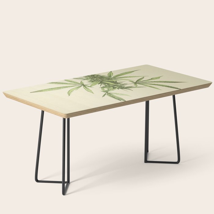 Vintage botanical print - Cannabis Coffee Table Gallery Image 1
