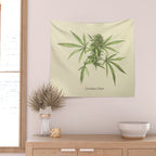 Vintage botanical print - Cannabis Wall Tapestry Gallery Image 2