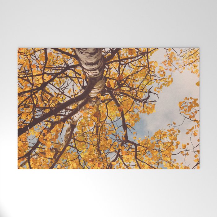 Beneath the Autumn Birch Tree Maine nature photograph Welcome Mat Gallery Image 1