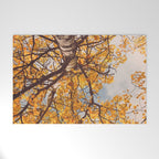Beneath the Autumn Birch Tree Maine nature photograph Welcome Mat Gallery Image 1