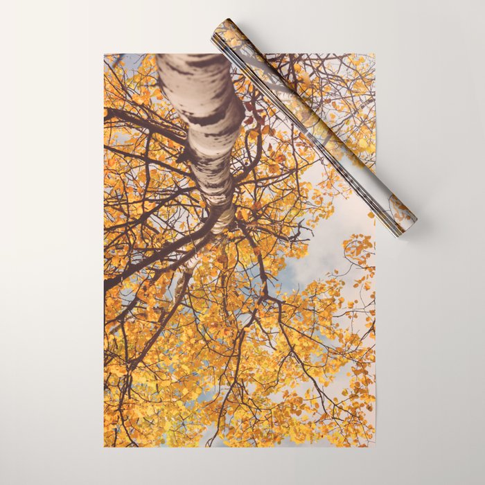 Beneath the Autumn Birch Tree Maine nature photograph Wrapping Paper Gallery Image 1