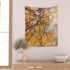 Beneath the Autumn Birch Tree Maine nature photograph Wall Tapestry Gallery Image 2