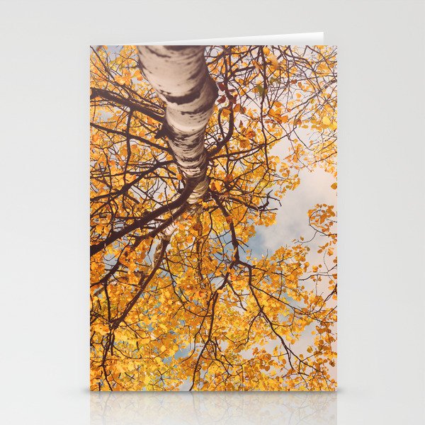 Beneath the Autumn Birch Tree Maine nature photograph Stationery Card Gallery Image 1