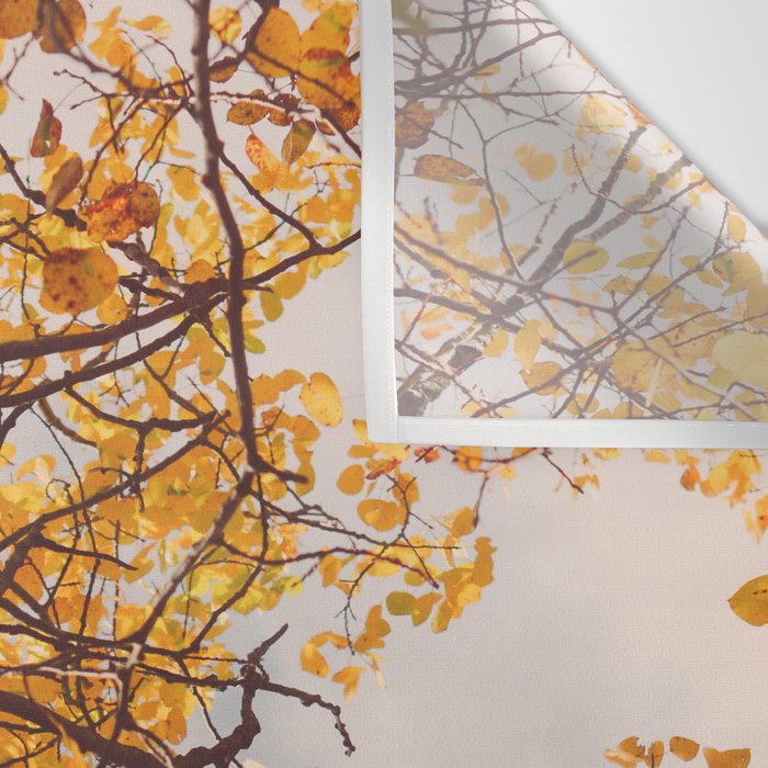 Beneath the Autumn Birch Tree Maine nature photograph Wall Tapestry Gallery Image 3