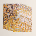 Beneath the Autumn Birch Tree Maine nature photograph Wrapping Paper Gallery Image 3