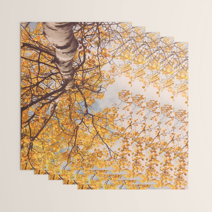Beneath the Autumn Birch Tree Maine nature photograph Wrapping Paper Gallery Image 3