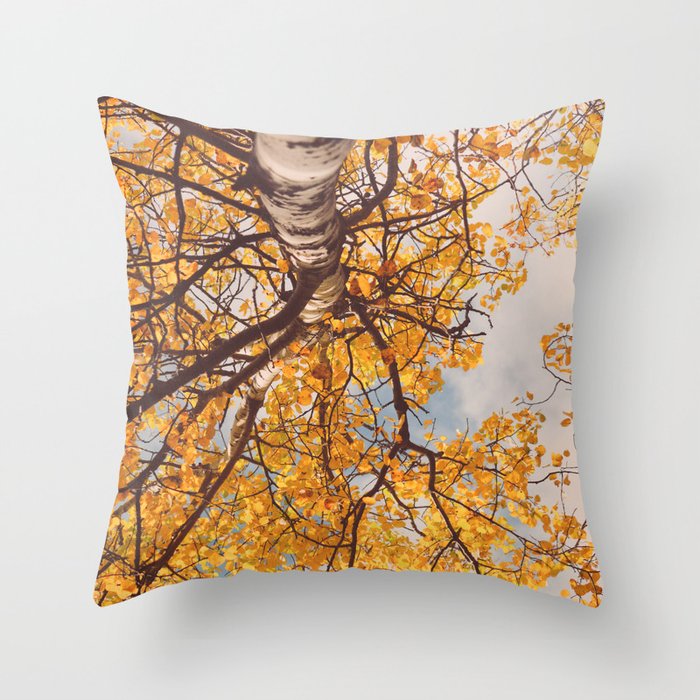 Beneath the Autumn Birch Tree Maine nature photograph Throw Pillow Gallery Image 6