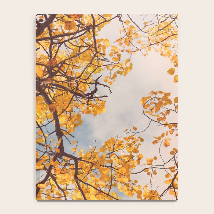 Beneath the Autumn Birch Tree Maine nature photograph Notebook Gallery Image 4